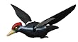 Edge by Expedite&reg; Wounded Woodpecker