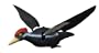 Edge by Expedite� Wounded Woodpecker