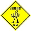 ACCORDION PLAYER ZONE music squeezebox sign