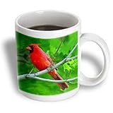 Red Cardinal - 15oz Mug