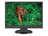 NEC LCD19WV - Flat panel display - TFT - 19 - widescreen - 1440 x 900 / 60 Hz - 300 cd/m2 - 1000:1 - 5 ms - 0.285 mm - VGA