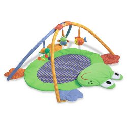 Buy Low Price Cozy Infantin Soft Activity Gym B000QX1262
