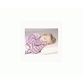 Clevamama Clevafoam Toddler Pillow