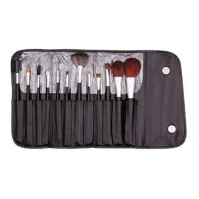 13 Piece Makeup Brush Set and Case
