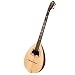 Search: Bouzouki, Variegated, Hard Case - Roosebeck