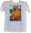PARROT - Zoo-series - White T-shirt