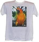 PARROT - Zoo-series - White T-shirt