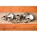 Kitchen & Housewares : Chef's Secret 16-Piece Element Stainless-Steel Cookware Set
