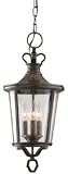 Britannia Collection 18 1/2 High Outdoor Hanging Light