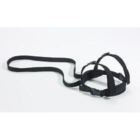 Sunshine Kids Child Harness