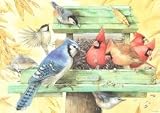 Heye Jigsaw Puzzle - Birds by Marjolein Bastin - 1000 pieces