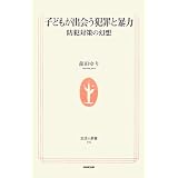 子どもが出会う犯罪と暴力―防犯対策の幻想 (生活人新書)