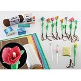 Build a Flowering Plant Model