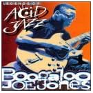 Legends of Acid Jazz