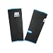 Muay Thai Pro Ankle Supports (Nation Man)  MEDIUM