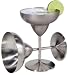 Stainless Steel Margarita Goblets-set of 2