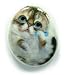 Henry Cats And Friends Tabby Kitty Cat Kitty Shaped Porcelain Magnet