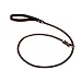Rolled Slip Leash in Chestnut Size: 4