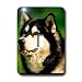 Dogs Alaska Malamute - Alaska Malamute Dog - Light Switch Covers - single toggle swit...
