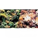 Hagen Double Sided Aquarium Background 24in