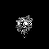 Vision Valley [VINYL]