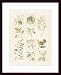 Tuscan Harvest I, Art Poster by Jacques Morello, with Wood Frame, poster size: 24