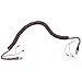 Coil Cord