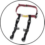 CARES Child Aviation Restraint System
