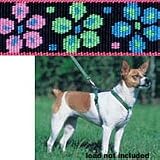 Flower Power - Lupine Adjustable Roman Style Harness 1 in. x 24 in. x 38 in.