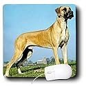 Dogs Great Dane - Great Dane - Mouse Pads