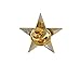 Forge 3D 5 Point Gold Star Lapel Pin (1 Pack)