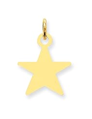 14k Star Disc Charm