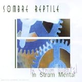In Strum Mental