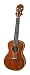 Rope Style Solid Curly Koa Concert Ukulele