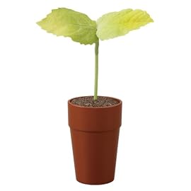 ペコッぱ 茶色