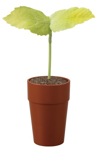 ペコッぱ 茶色