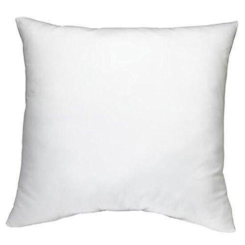 AISHN Square Pillow Inserts for Shams/Alternative Form Cushion PP Cotton Filling Pillowcase, 18 x 18 inch use for 1818 inch Pillow Cover (2pcs)