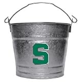 Michigan State Ice Bucket