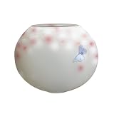 Frosted Vase with Butterfly