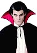 ADULT Modern Vampire Costume Wig