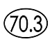 BaySix 70.3 Decal
