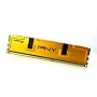 PNY 2GB (2x 1GB) DDR3 RAM PC1333 Arbeitsspeicher