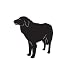 Working Dog Pet Kuvasz Car Truck Vehicle Bumper Helmet Decal Sticker Wall Art Laptop Design Skin Stickers