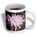 Decorative colorful garden SW Southwest Desert cactus yellow purple pink classic flower abstract - 15oz Mug