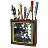 Florene Animals - Florida Green Eyed Panther - Tile Pen Holders-5 inch tile pen holder