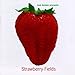 Bob Belden, Strawberry Fields, 発売中