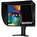 NEC SpectraView 2190 53,3 cm (21,0 Zoll) TFT LCD-Monitor schwarz/anthrazit (Kontrast 700:1, 8ms Reaktionszeit)