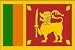 Sri Lanka Flag Polyester 3 ft. x 5 ft.