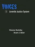 Voices in the Juvenile Justice System for Juvenile Justice in America