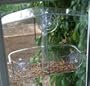 Bird Food Recipes - Bill Oddies Window Feeder